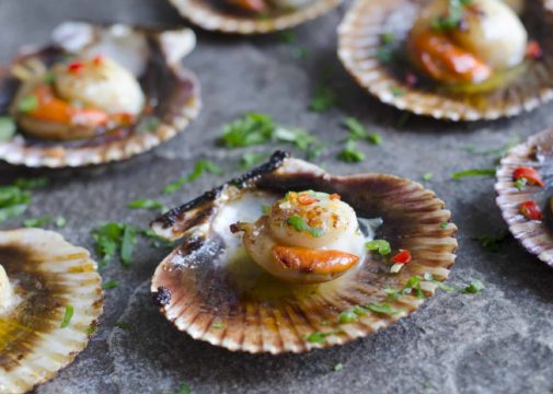 recette-coquilles-saint-jacques-agrilait