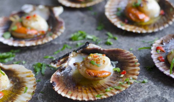 recette-coquilles-saint-jacques-agrilait