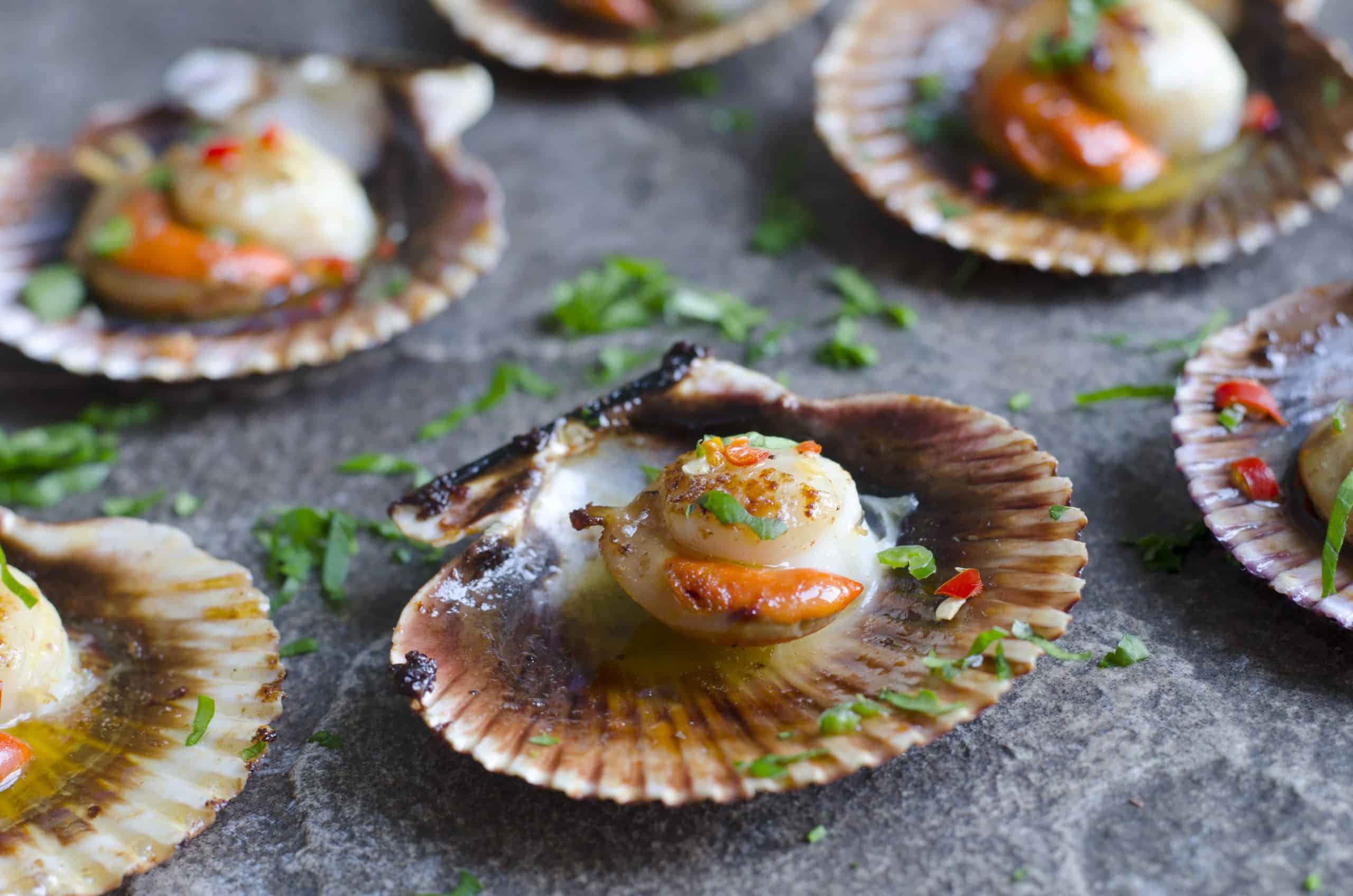 1. sales coquilles saint-jacques