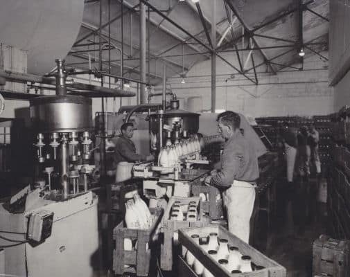 1957-chaine-embouteillage-du-lait-en-bouteille-verre-agrilait