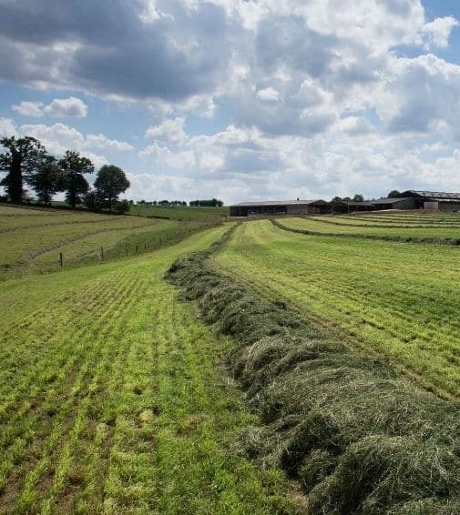 climat-campagne-normandie-ciel-rose-agrilait