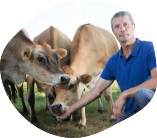 patrick-manger-eleveur-vaches-laitieres-normandie-agrilait