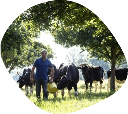 patrick-troupeau-eleveur-vaches-laitieres-normandie-agrilait