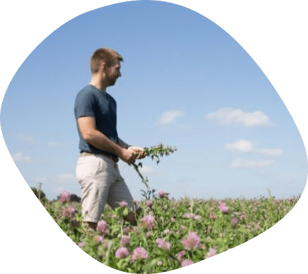 romain-champs-eleveur-vaches-laitieres-bretagne-agrilait