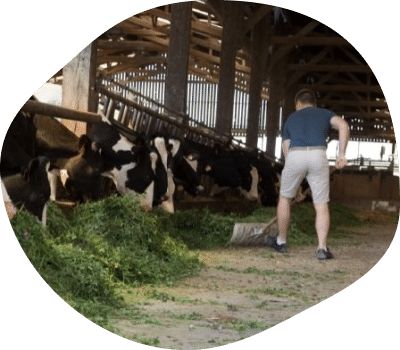 romain-fourrage-eleveur-vaches-laitieres-bretagne-agrilait