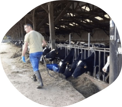 sebastien-fourrage-eleveur-vaches-laitieres-bretagne-agrilait