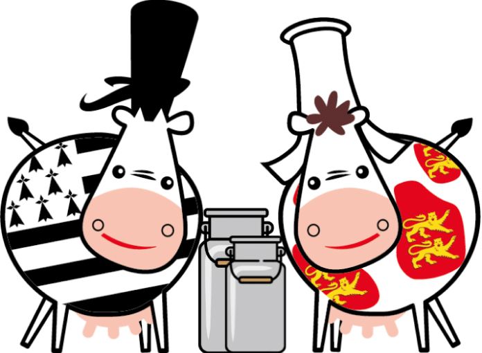 vaches-pots-lait-agrilait