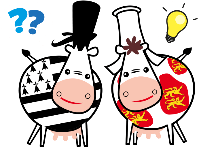 vaches-questions-agrilait