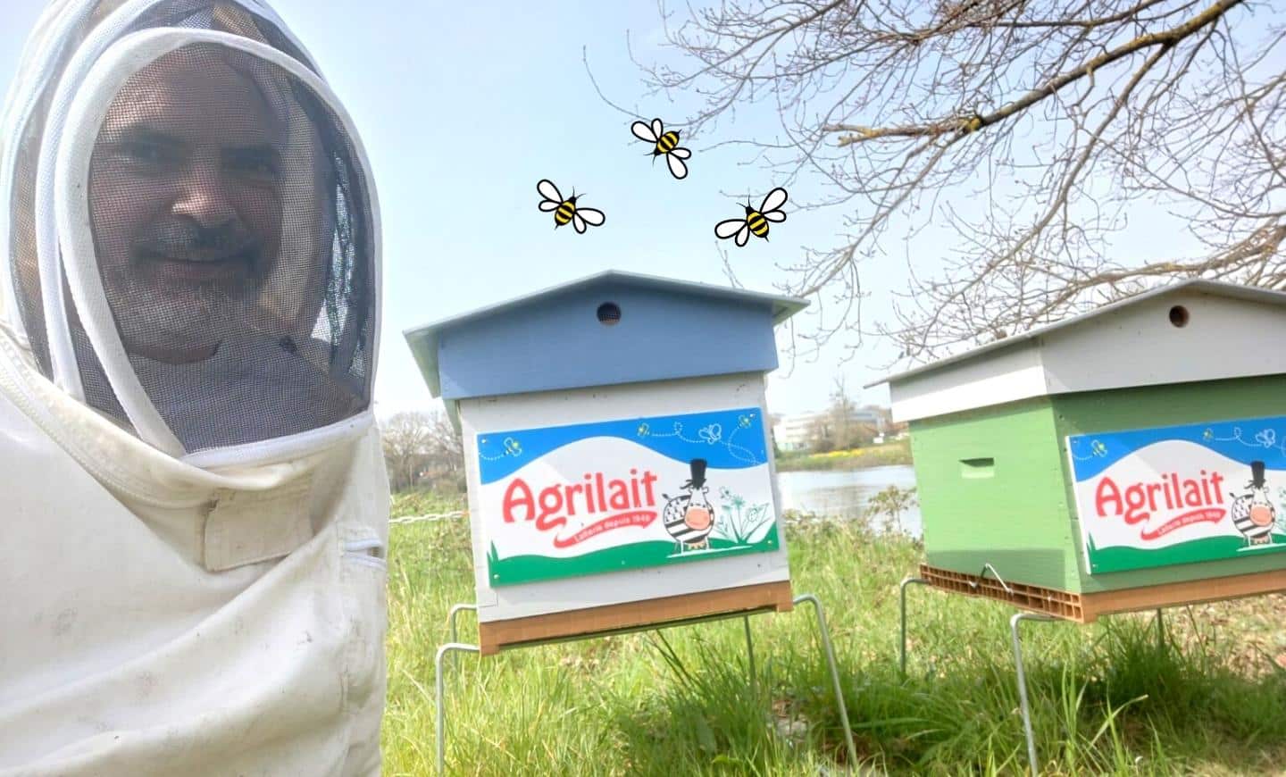 apiculteur-ruches-agrilait