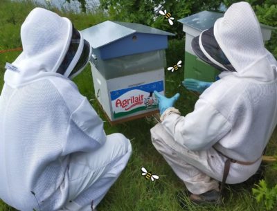 les-ruches-agrilait-reprennent-du-service