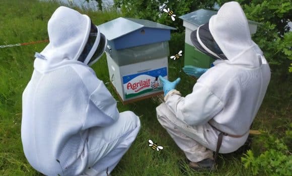 les-ruches-agrilait-reprennent-du-service