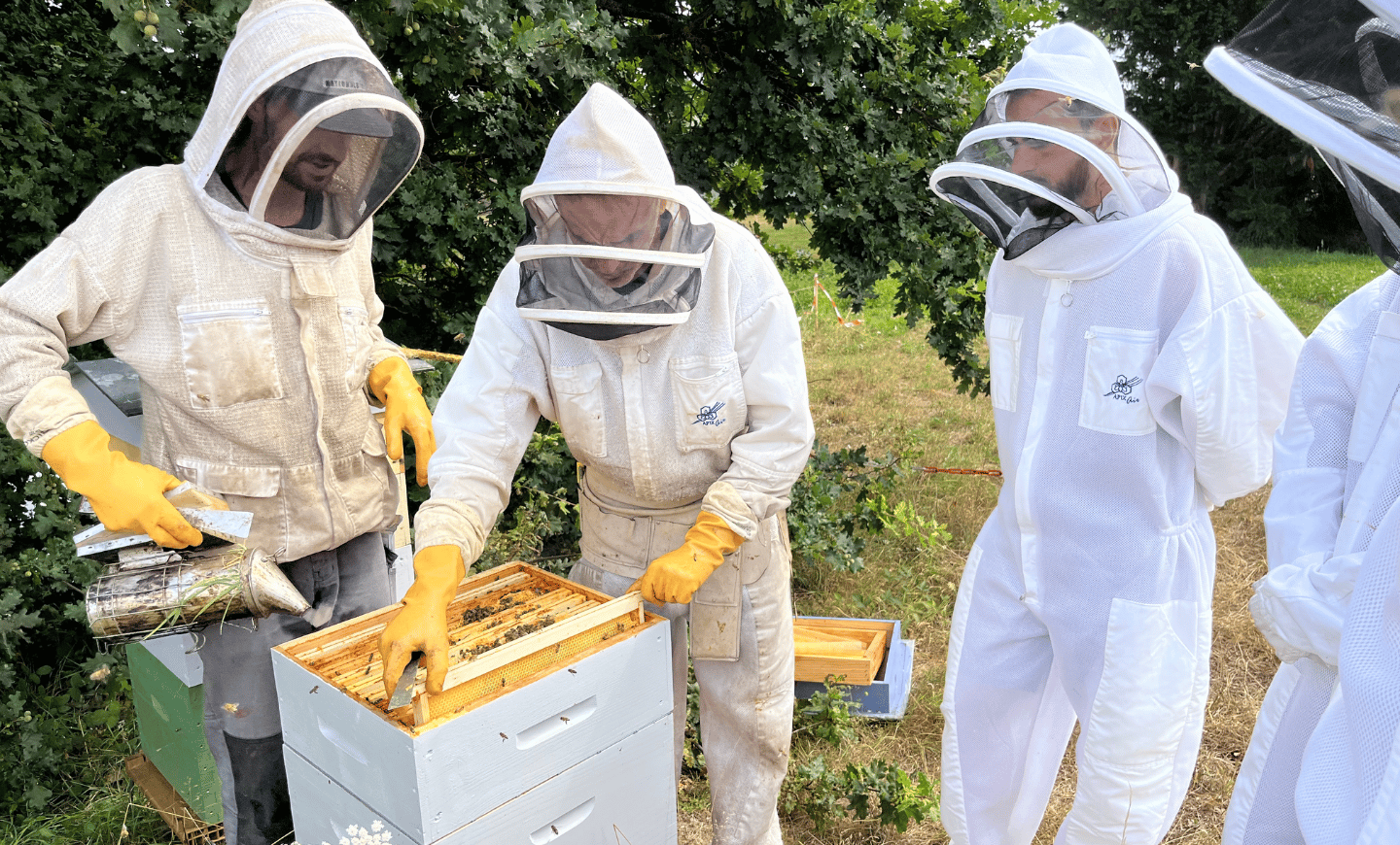 actualite-recolte-miel-enfumoir-abeilles-agrilait