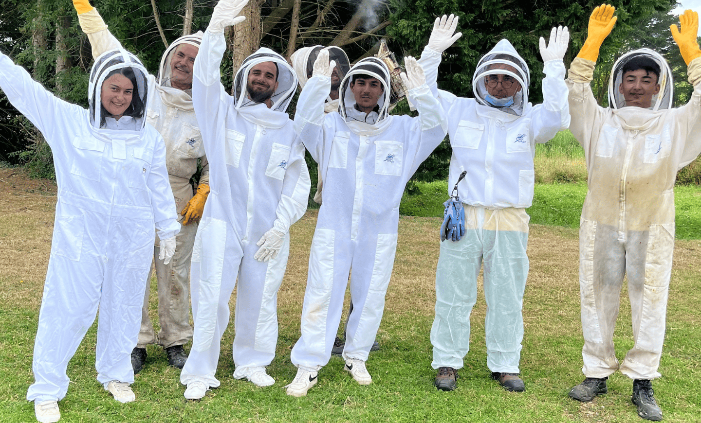 actualite-recolte-miel-salaries-cours-apiculture-agrilait