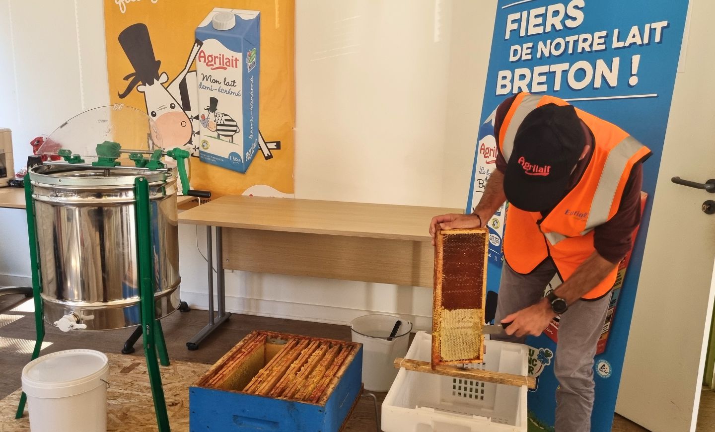 ruches été agrilait actualite (4)