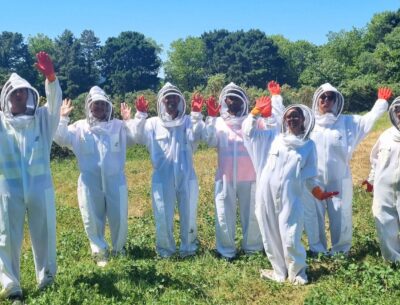 ruches été agrilait actualite
