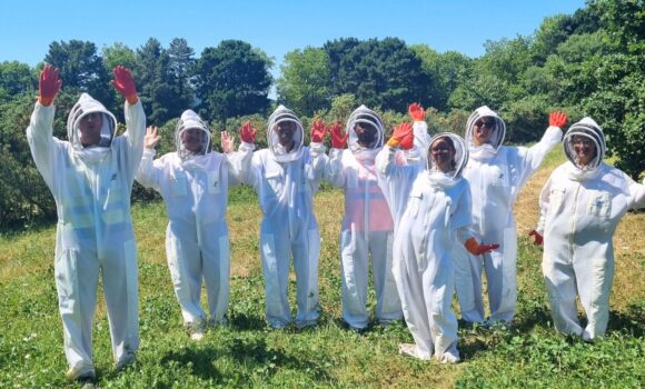 ruches été agrilait actualite